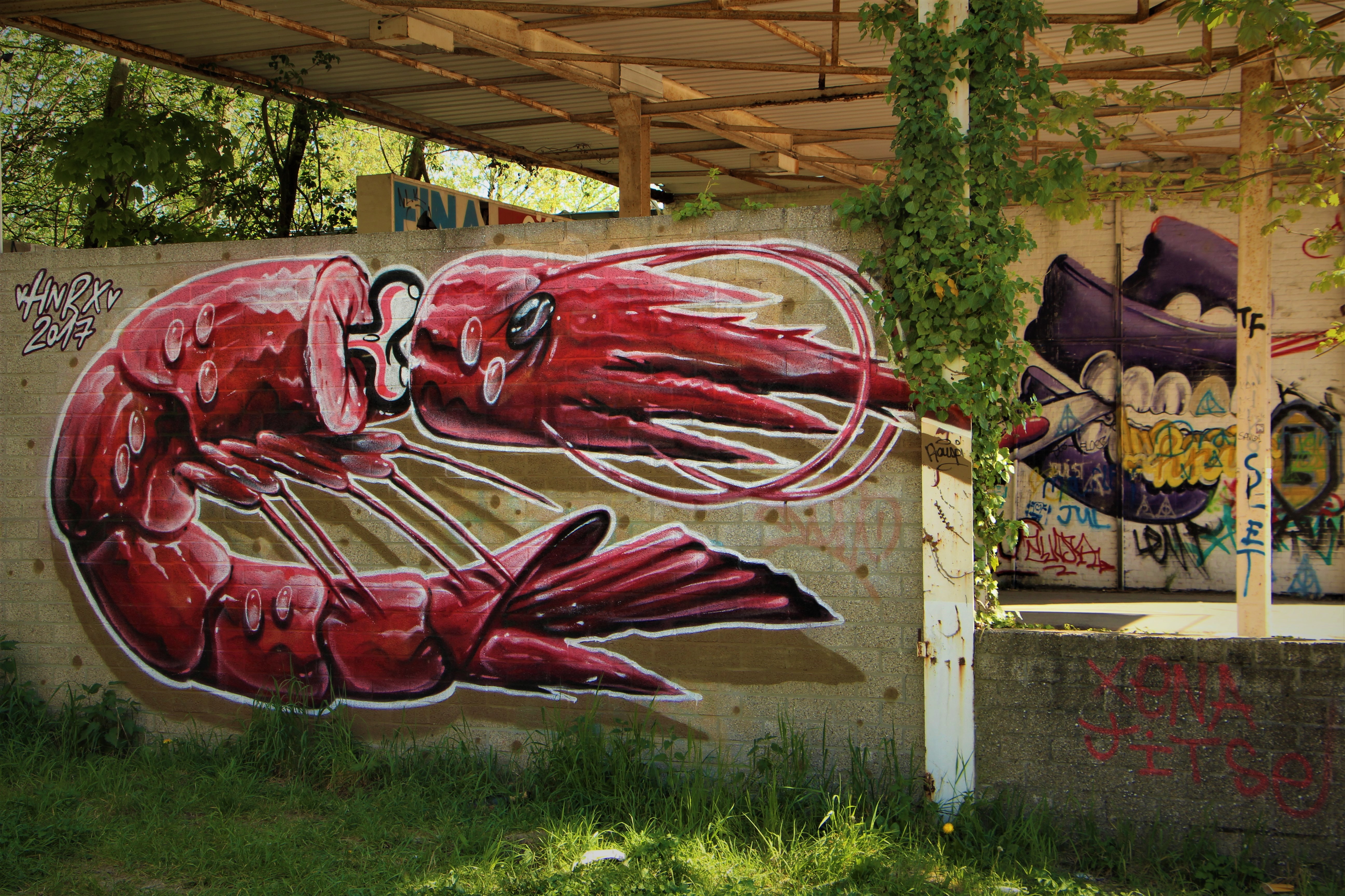 Shrimp graffiti in Doel ghost town