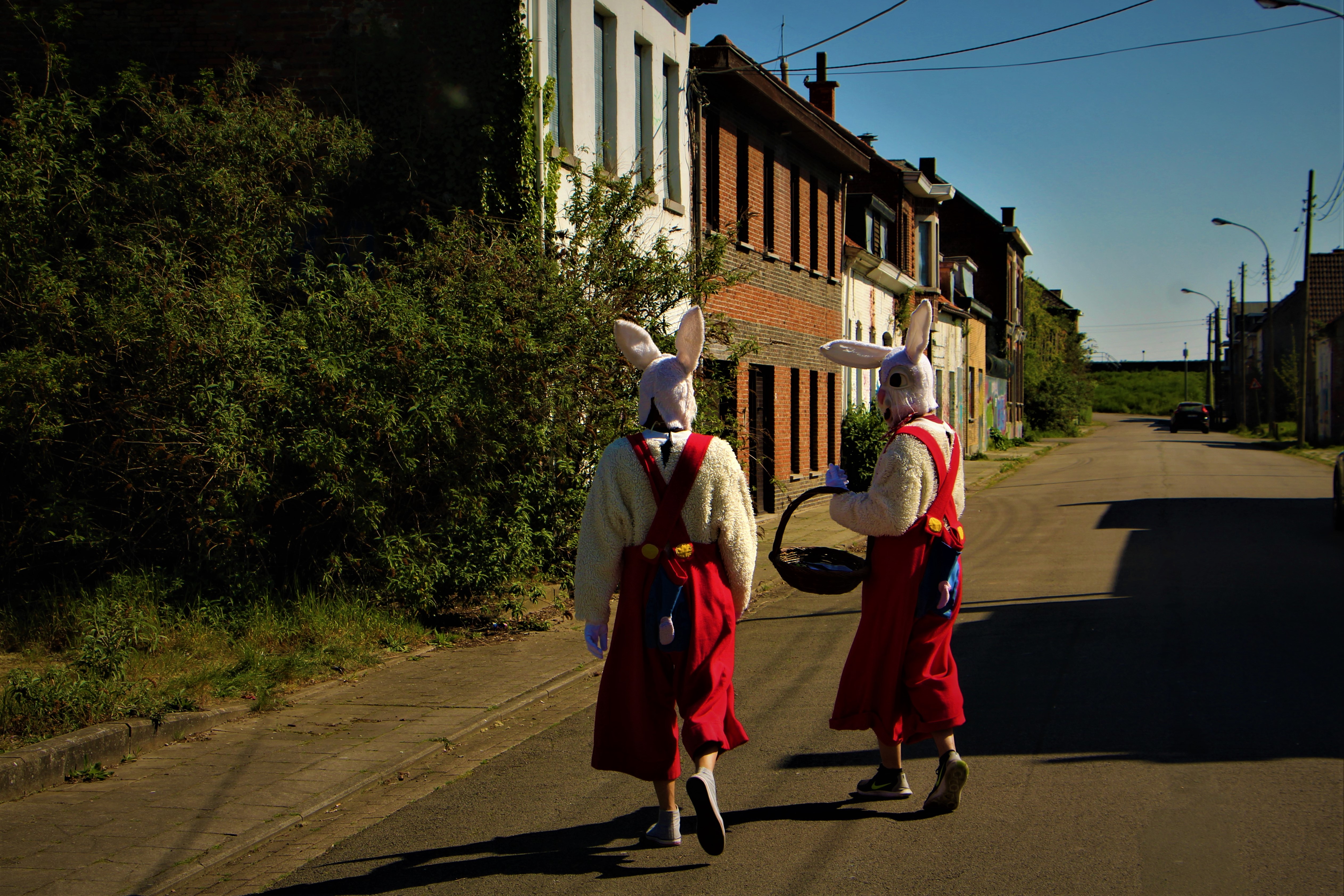 Easter bunnies in abandoned Doel ghost town